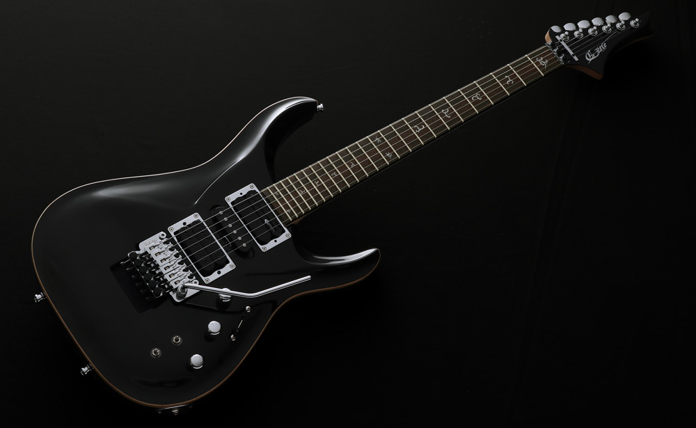 G-Life Guitars / DSG Life-Ash SUSTAINER / Classic Black