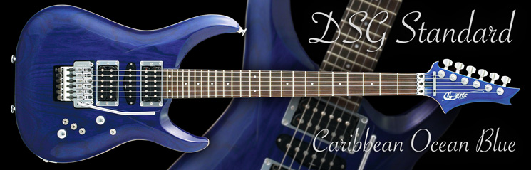 G-Life Guitars / DSG Standard Ash