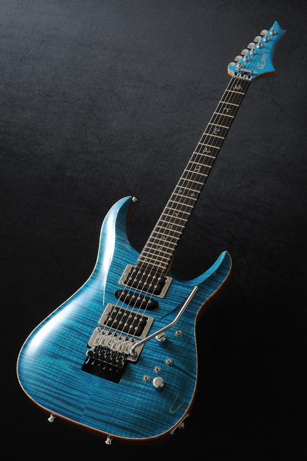 G-Life Guitars / PRODUCT DSG Life Series