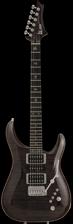 G-Life Guitars / End of Life DSG