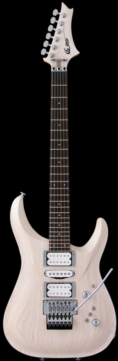 G-Life Guitars / End of Life DSG