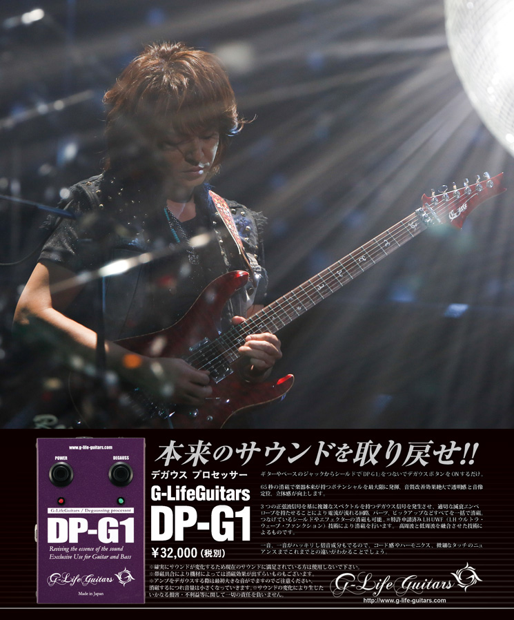G-Life Guitars / Degaussing processor DP-G1